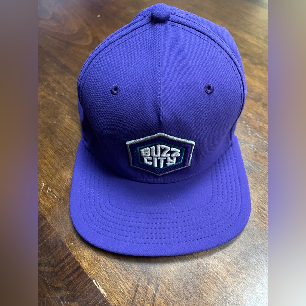 Charlotte Hornets baseball hat